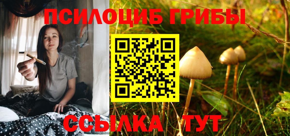 Шелехов  Псилоцибиновые грибы Magic Shrooms  Вход с VPN  Галлюциногенные грибы ЛСД 