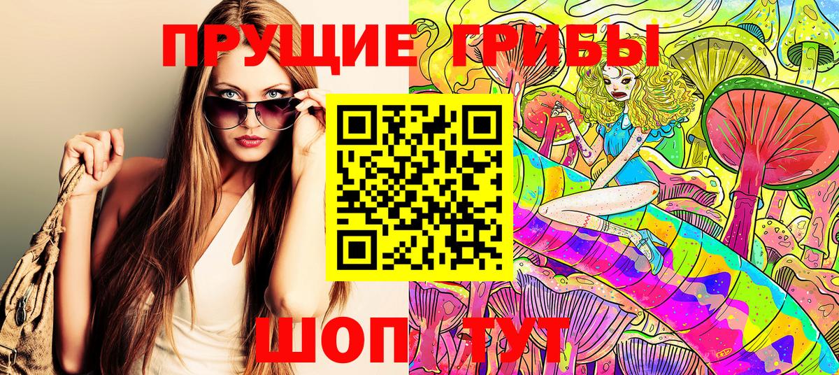 Галлюциногенные грибы Cubensis Шелехов